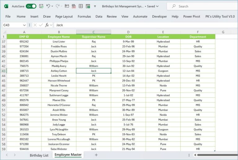 Birthday List Management System in Excel - PK: An Excel Expert