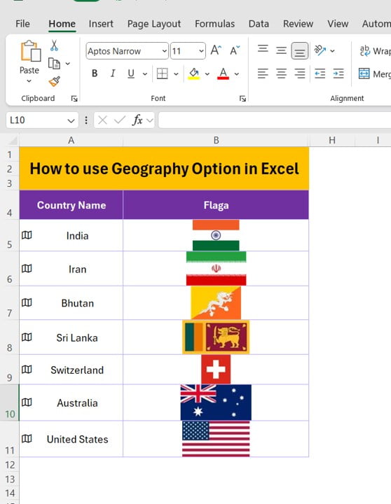 Geography Option in Excel with Example