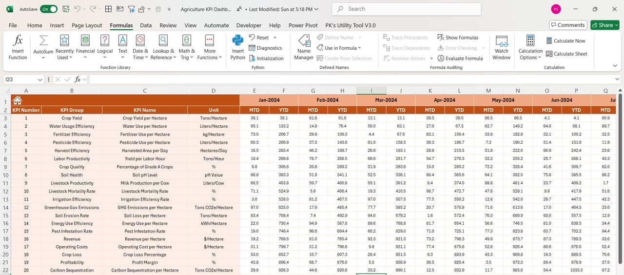 Actual Numbers Input Sheet