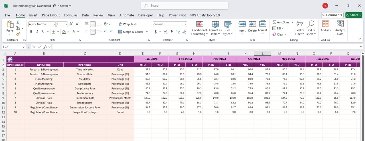 Actual Numbers Input Sheet