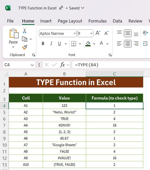 TYPE Function in Excel with Examples