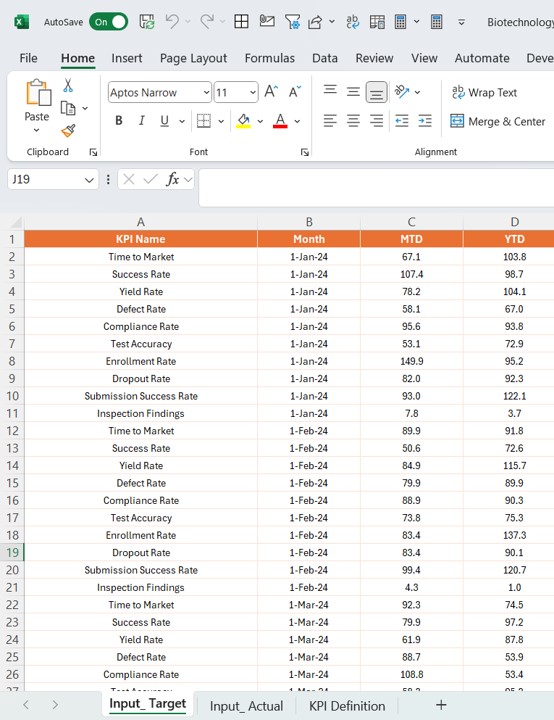 Input Actual Sheet