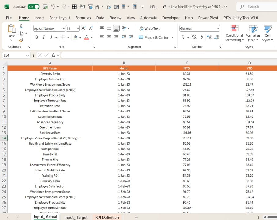 Input Actual Sheet