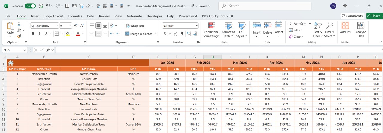 Actual Numbers Input Sheet