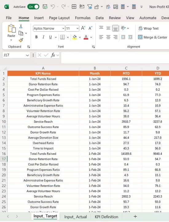 Input Actual Sheet