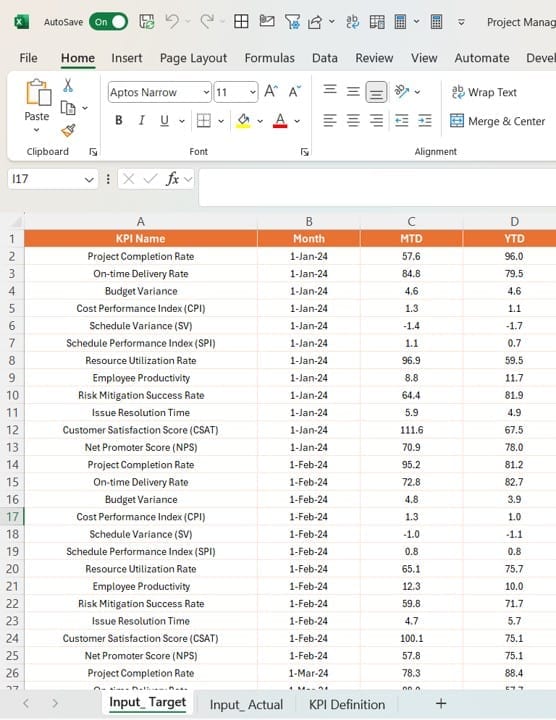 Input Actual Sheet