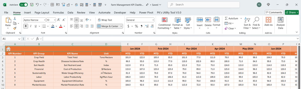 Actual Numbers Input Sheet