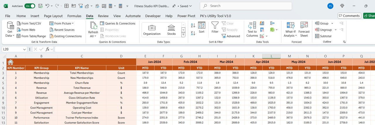 Actual Numbers Input Sheet