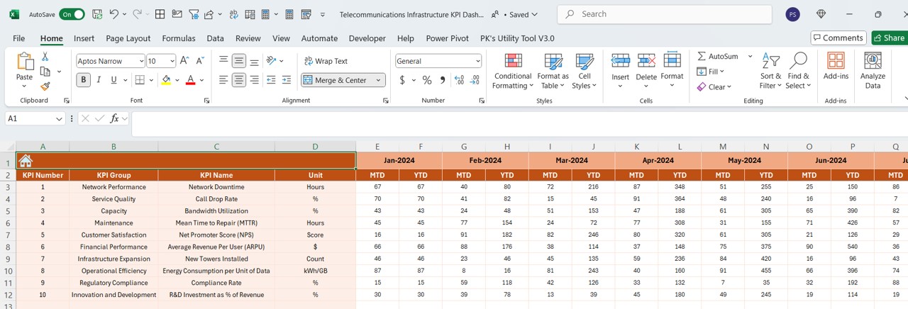 Actual Numbers Input Sheet