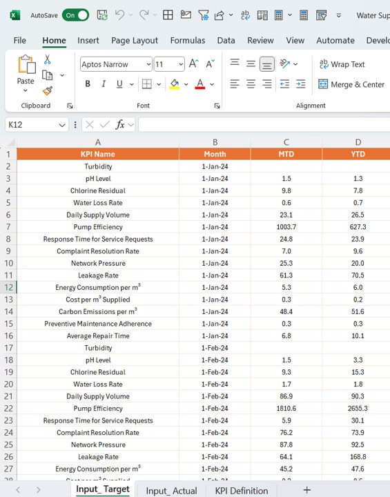 Input Actual Sheet