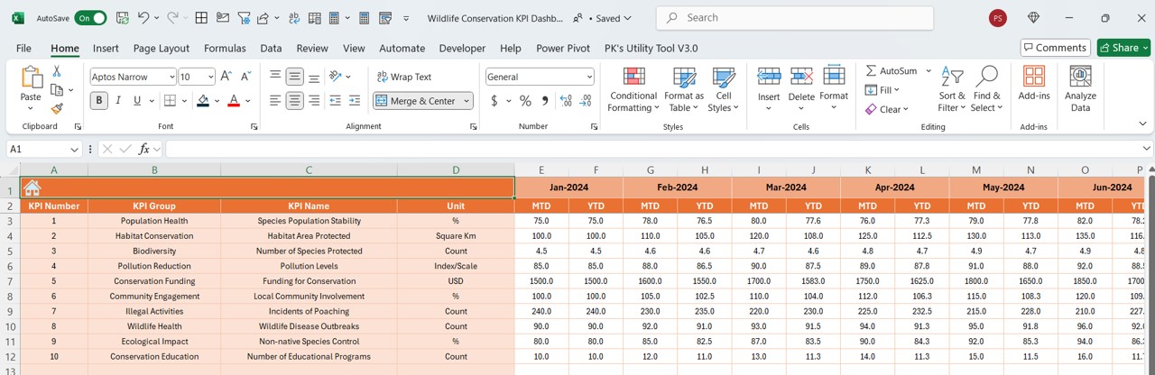 Actual Numbers Input Sheet