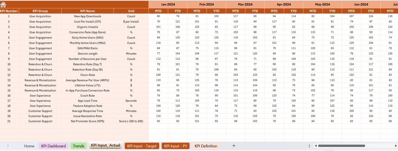 Actual Numbers Input Sheet